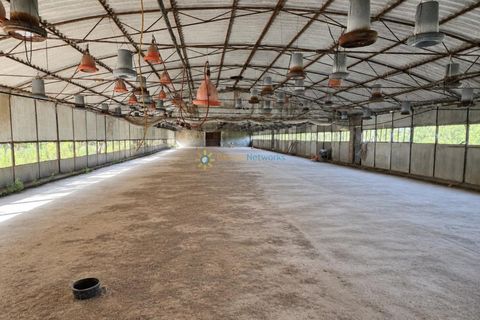 Farm i Beniganim, Valencia, Beniganim - € 67.000 | Ref: PNPT301 - foto 4